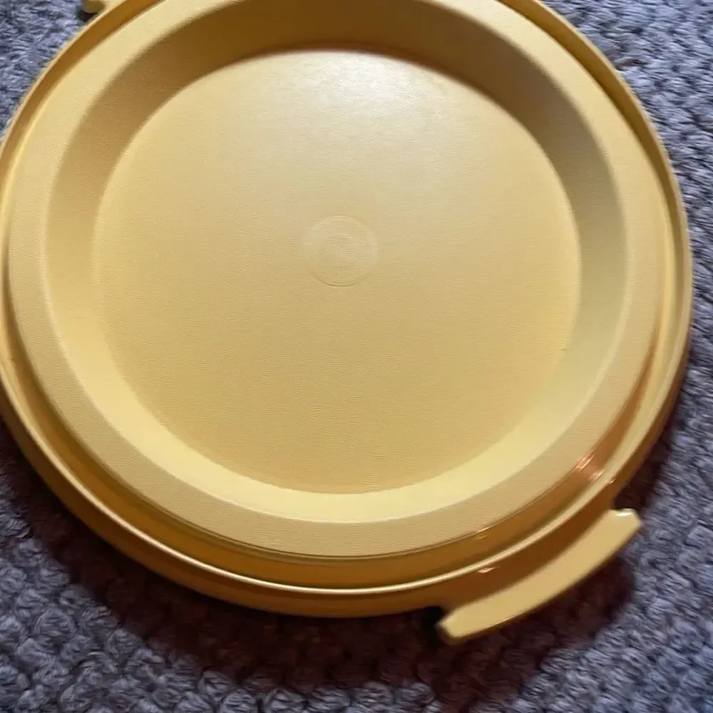 Vintage cake taker Tupperware